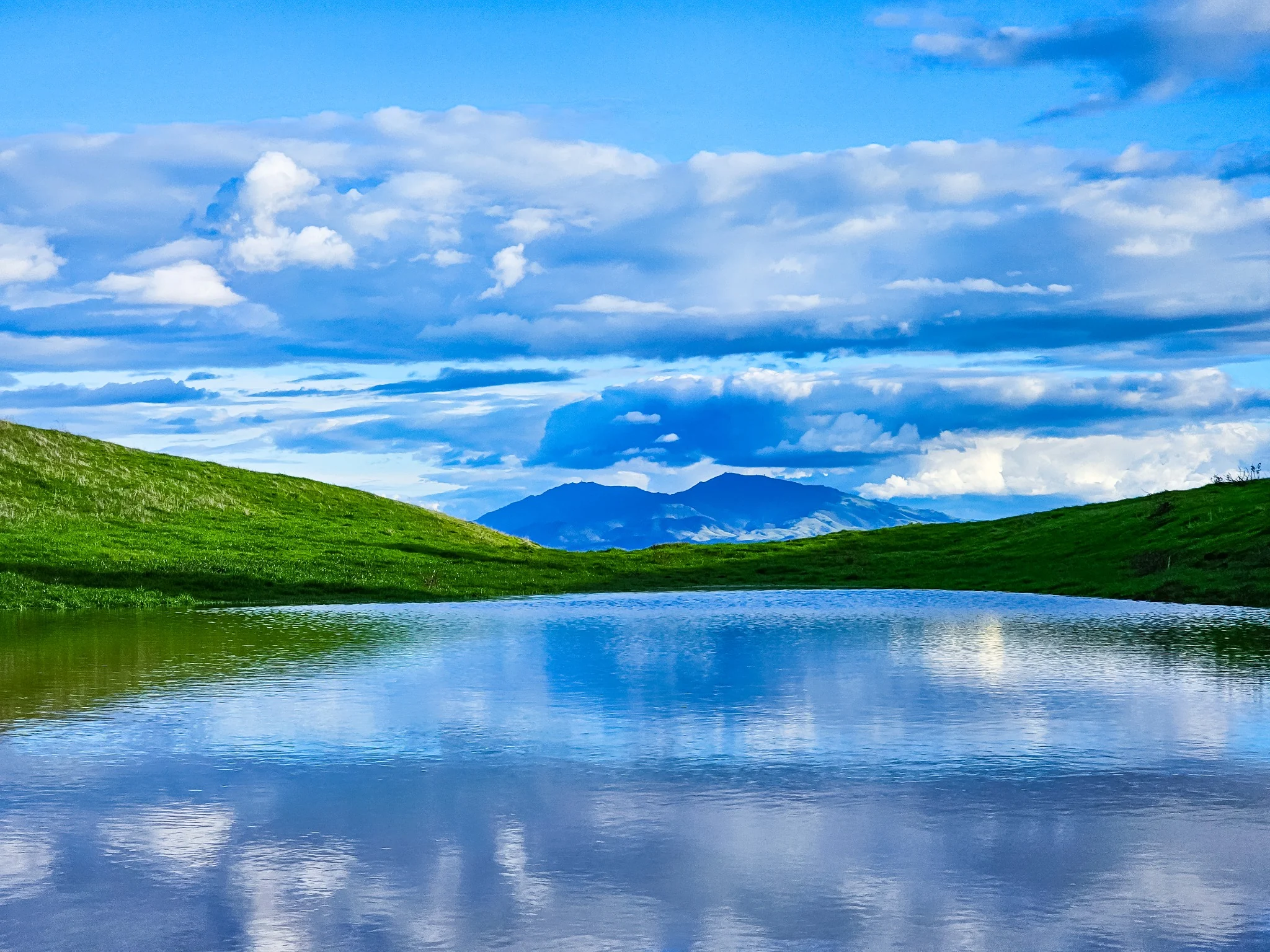 Mount Diablo and clouds reflected in a seasonal wetland