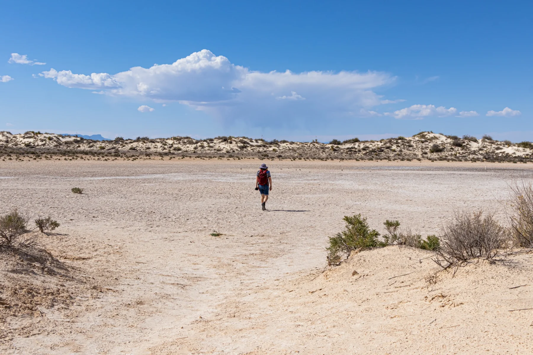 Traveler at White Sands
