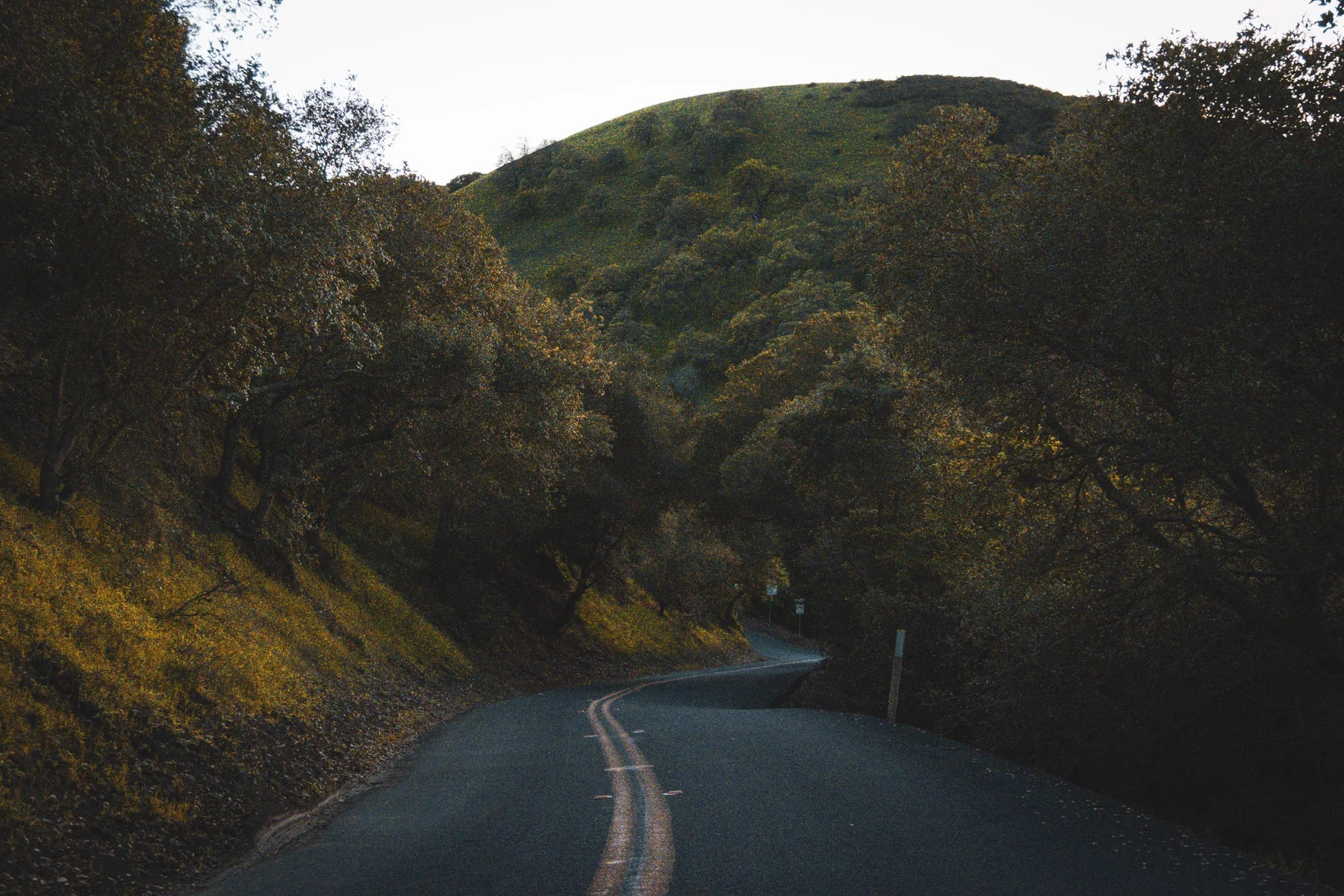 A winding road through shadowed hills